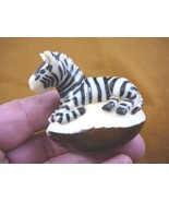 TNE-ZEB-227) baby striped Zebra foal TAGUA NUT palm nuts figurine zebras - $57.83 CAD