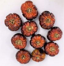 Fully Dried Mini Pumpinos Pumpkin Peppers Fall Orange Vase Filler Decor Craft Lo - £14.57 GBP
