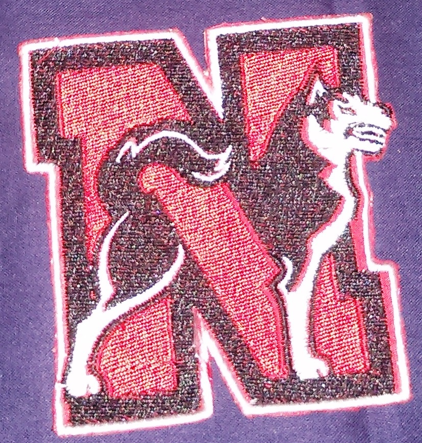 Northeastern Huskies logo Iron On Patch