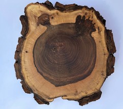 Walnut Wood Slice with bark, live edge rounds, Live edge, walnut slab dried cut  - £53.66 GBP
