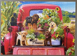 Kodak Premium Puzzle - Stowaways Puppy Dogs Truck, 1000 Pieces, 19.25&quot;×2... - $7.95