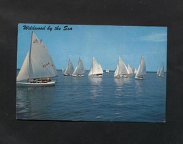 Vintage Postcard 1964 Wildwood by the Sea Yacht Club Sunset Lake NJ Sail... - £3.92 GBP