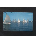 Vintage Postcard 1964 Wildwood by the Sea Yacht Club Sunset Lake NJ Sailboats - $4.99