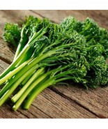 HSE Broccolini Seeds for Planting - Broccoli Aspabroc - £12.44 GBP