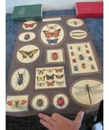 19th C Insect Plate- Histoire Naturelle Serie Insectes Reproduction Poster - $39.90 CAD