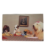 Postcard Dogs Eating Food Max Pal Daisy The North Shore Animal League Ch... - $90.50 MXN