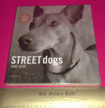Pet Gift Picture Book Street Dogs Canine Portraits Images Man Best Friend Photos - £15.30 GBP