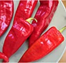 Zia Pueblo Hot Peppers Seeds (((25 Seed Packet))) (More Heirloom, Organic, Non G - £3.54 GBP