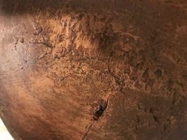 New Primitive design Bowl with a  hole in distressed Finish image 5