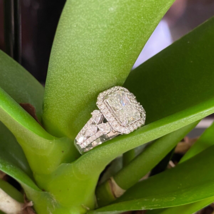 Glanzschliff Diamant Igi 2.02 Karat E-VVS2 Kunstdiamanten Grown Verlobun... - $2,279.59