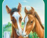 Foals in the Field (Animal Ark Series #24) Ben M. Baglio; Ann Baum and J... - $2.93