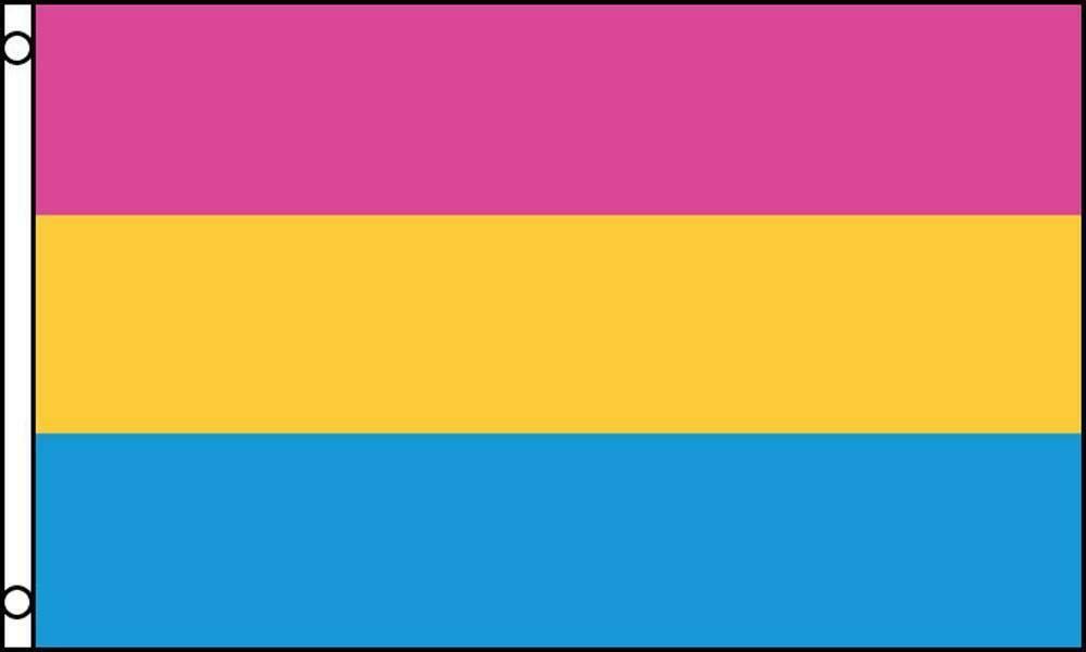 PANSEXUAL RAINBOW 3 X 5 FLAG 3x5 decor banner FL652 SIGN gay pride pan s... - $6.64