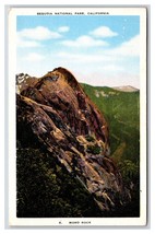 Morro Rock Sequoia National Park California CA Linen Postcard D21 - £2.33 GBP