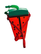 Watermelon Tumbler Water Bottle w/ Straps &amp; Straw Portable Cup Travel 450ml - £13.35 GBP