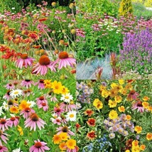 All Perennial Wildflower Mix Seeds 200+ Colorful Mixture 17 Species   From US - $7.06