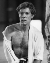 Richard Chamberlain in The Thorn Birds Bare Chested Portrait as Father Ralph 16x - £55.46 GBP