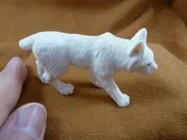 LYNX-w11) large white Lynx cat Bobcat shed ANTLER figurine Bali detailed... - £85.45 GBP