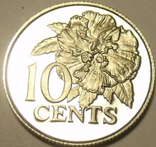 Rare Proof Trinidad &amp; Tobago 1977 10 Cents~5,337 Minted~Hibiscus~Free Shipping - £3.35 GBP