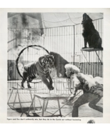 1960 Evelyn Currie Circus Lion Tiger Tamer Popular Science Article Page ... - $24.99