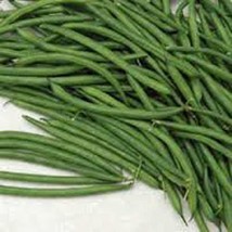 &quot;Cool B EAN S N Sprouts&quot; Brand, Burpee Stringless String Bean Seeds. 6 Ounce A Gar - £6.28 GBP