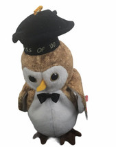 TY Beanie Baby Wisest the Owl Class Of 2000 Retired - $14.95