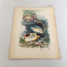 Italia SS Cristoforo Colombo ocean liner August 1963 farewell dinner menu - $375.97 MXN