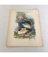 Italia SS Cristoforo Colombo ocean liner August 1963 farewell dinner menu - €17,15 EUR