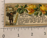 Name Cards Roses Victorian Trade Card VTC 8 - $4.94