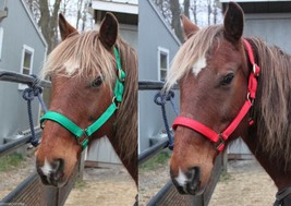 Iron Horse Nylon Halter Yearling, Cob or Large Pony Choice or Green or Red - USA - £7.99 GBP