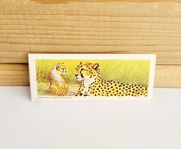 Vintage National Biscuit Co (Nabisco) Mini Trade Card 1969 S7N38 Cheetah - £8.72 GBP