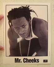 Mr. Cheeks Press Kit And Photo John P. Kelly Lost Boyz Mister Mr - $27.16