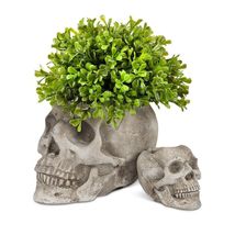 Large Skull Planter Cement 5" high Gray Spooky Textured Detail image 3