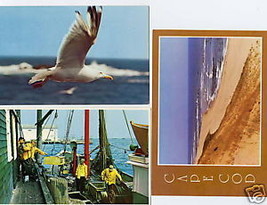 Sea Shore Post Card New England Coast Postcard Set MA Cape Cod USA Home Treasure - £3.71 GBP