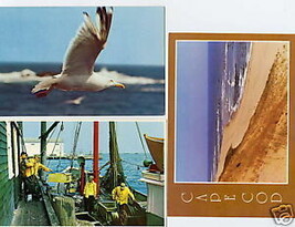 Sea Shore Post Card New England Coast Postcard Set MA Cape Cod USA Home ... - £3.74 GBP