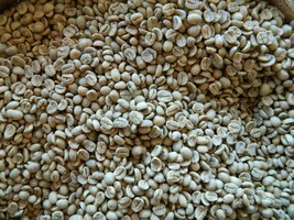 5, 10, 25 LB Nicaragua SHGEP Green (unroasted) Beans - $36.28+