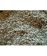 5, 10, 25 LB Nicaragua SHGEP Green (unroasted) Beans - £28.50 GBP+