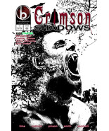 &quot;Crimson Shadows&quot; Issue #2 - Limited Cover Variant (Gruber) - $10.00