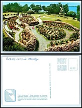 FLORIDA Postcard - Cypress Gardens, All American Rose Display K26 - £2.35 GBP