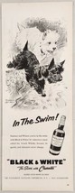 1958 Print Ad Black &amp; White Scotch Whiskey Scottie &amp; Westie Dogs Swimming - £10.99 GBP