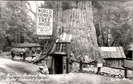 Redwood Highway California At Tree House Park Believe It Or Not Postcard Z26 - £5.43 GBP