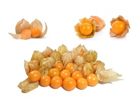 Cape Gooseberry Seeds (Physalis Peruviana) - Organic &amp; Non Gmo Seeds - Grow Your - £7.10 GBP