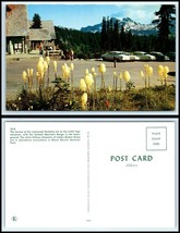 WASHINGTON Postcard - Mt. Rainier National Park, Paradise Inn The Terrace K43 - £2.57 GBP