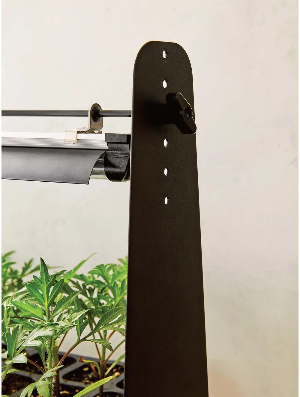 Burpee's Grow Light, Dynamo LED Other