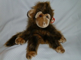 Ty Cha Cha Classic Monkey Plush Stuffed Animal Ape Shaggy, Classic Nwt - £7.92 GBP
