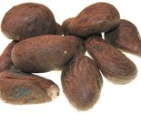 Fair Trade Ecuador Tagua Nuts | Vegan Ivory | XL 70mm+ /7cm+ (2.75&quot;+) - $19.31+