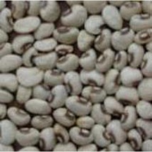 Usa Seller Big Boy Cowpeas Seeds Fast Shipping - $11.24