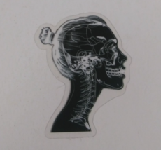 Girls Head X-Ray Transparent Sticker 2.25&quot; x 1.75&quot; (U) - $1.64