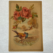 Victorian Woolson Spice Co. Toledo OH Lion Coffee Trade Card Bird &amp; Rose - £10.24 GBP