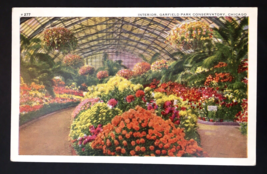 Interior Garfield Park Conservatory Chicago Unposted Vtg PC Flowers Garden - £3.99 GBP