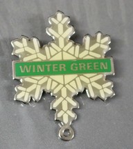 Winter Green Blue Ridge Ski Resort Skiing Souvenir Collector Pin-Virginia State - £11.21 GBP